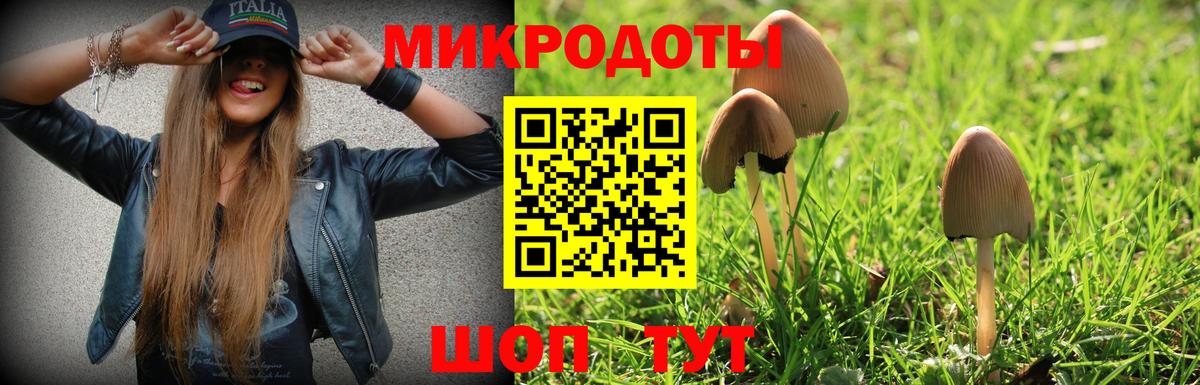 Псилоцибиновые грибы MAGIC MUSHROOMS  Вход с VPN  наркошоп  Сафоново  Псилоцибиновые грибы Psilocybe 